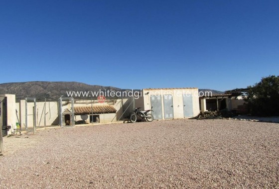 Sale - Villa  - Pinoso