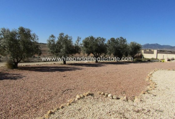 Sale - Villa  - Pinoso