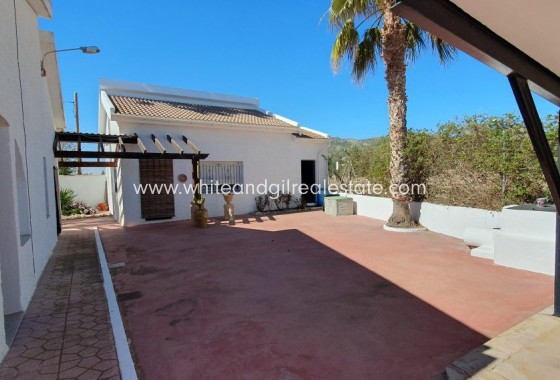 Venta - Finca - Sax