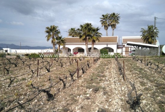 Venta - Finca - Sax