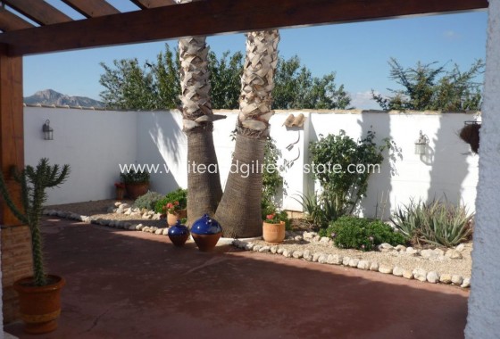 Venta - Finca - Sax