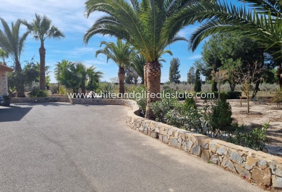 Sale - Villa  - Elche - Center