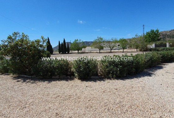 Sale - Country house  - Villena