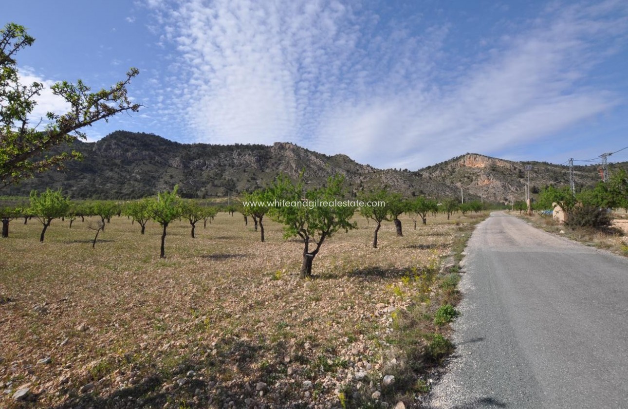 Revente - Parcelle / Terrain - Salinas