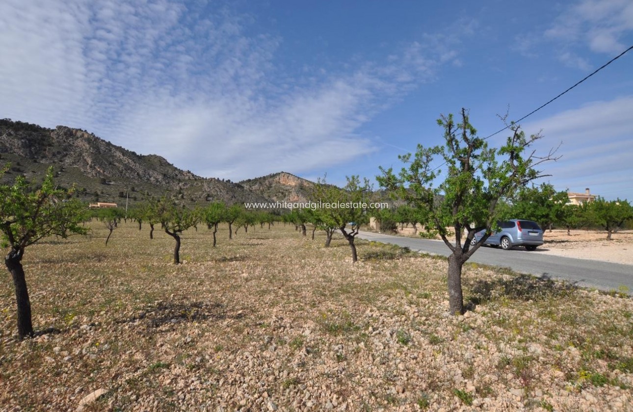 Revente - Parcelle / Terrain - Salinas