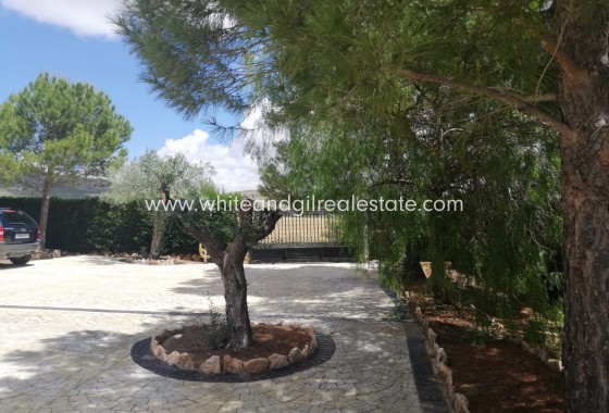 Sale - Country house  - Yecla