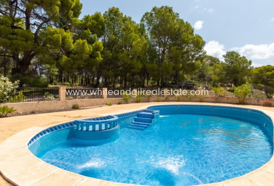 Sale - Country house  - Ibi