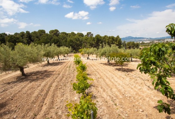 Sale - Country house  - Ibi