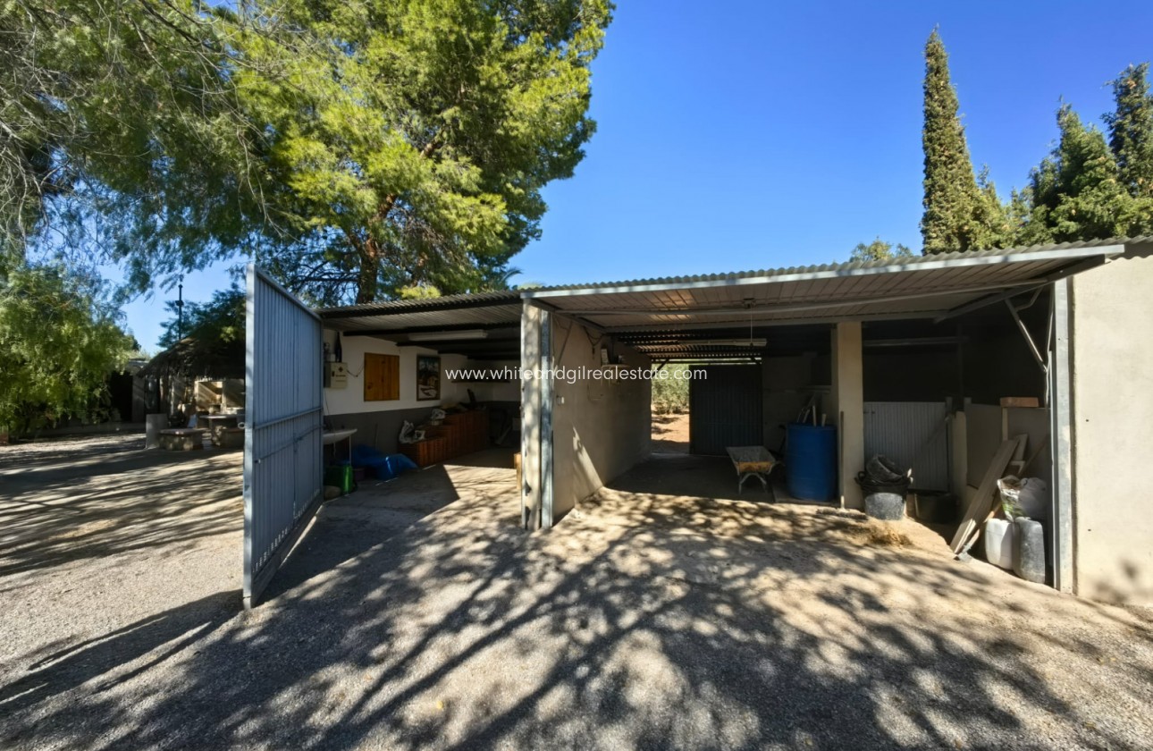 Venta - Chalet / Villa - Jumilla