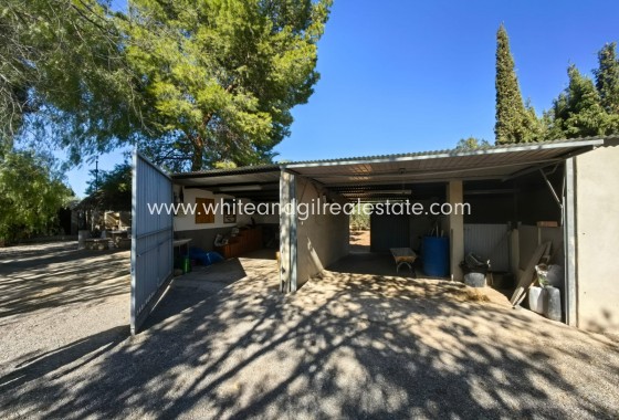 Venta - Chalet / Villa - Jumilla