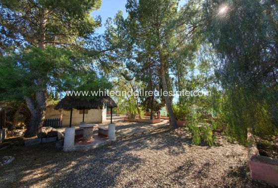 Venta - Chalet / Villa - Jumilla