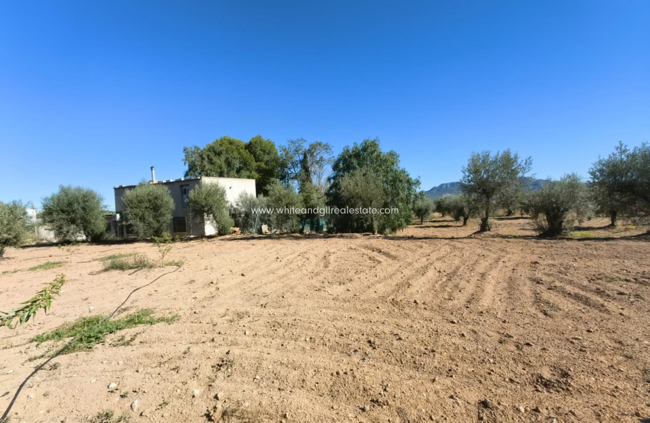 Venta - Chalet / Villa - Jumilla