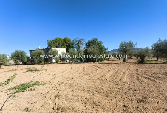 Venta - Chalet / Villa - Jumilla