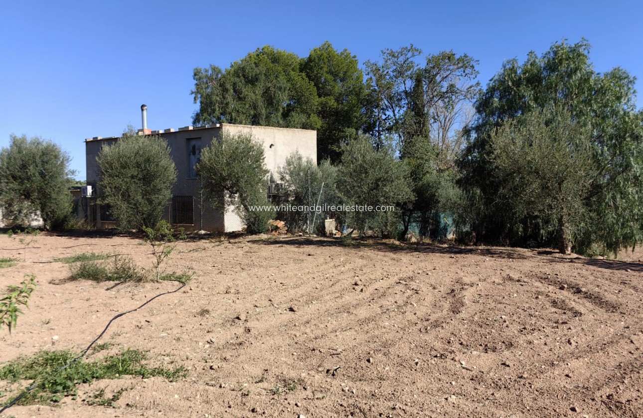 Venta - Chalet / Villa - Jumilla