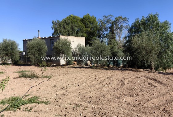 Venta - Chalet / Villa - Jumilla