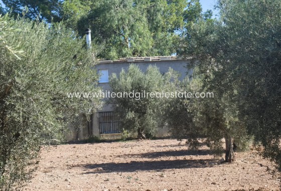 Venta - Chalet / Villa - Jumilla