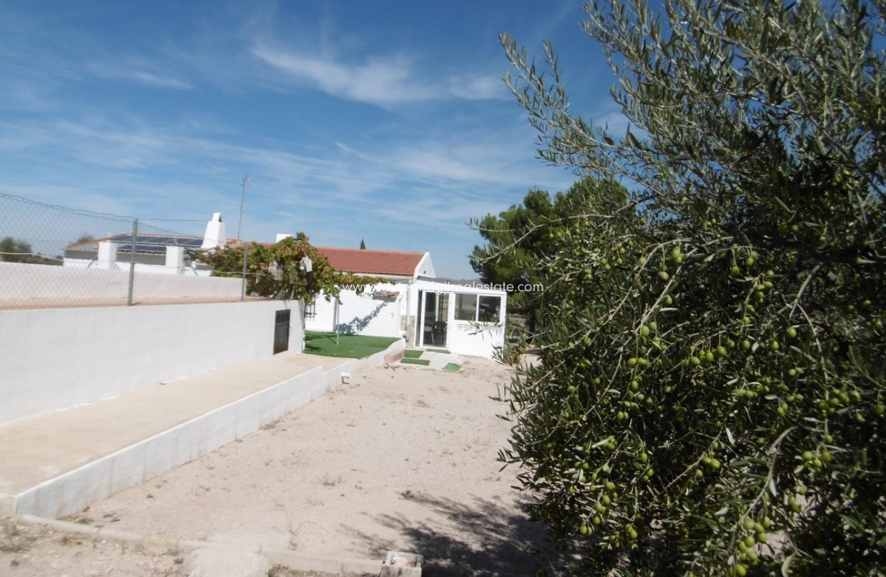 Sale - Villa  - Yecla