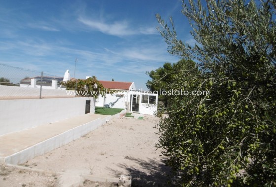 Sale - Villa  - Yecla