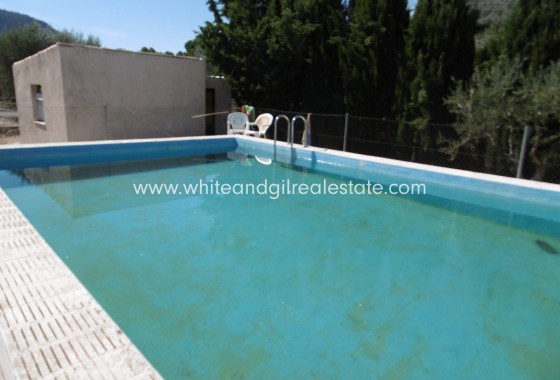 Sale - Villa  - Yecla