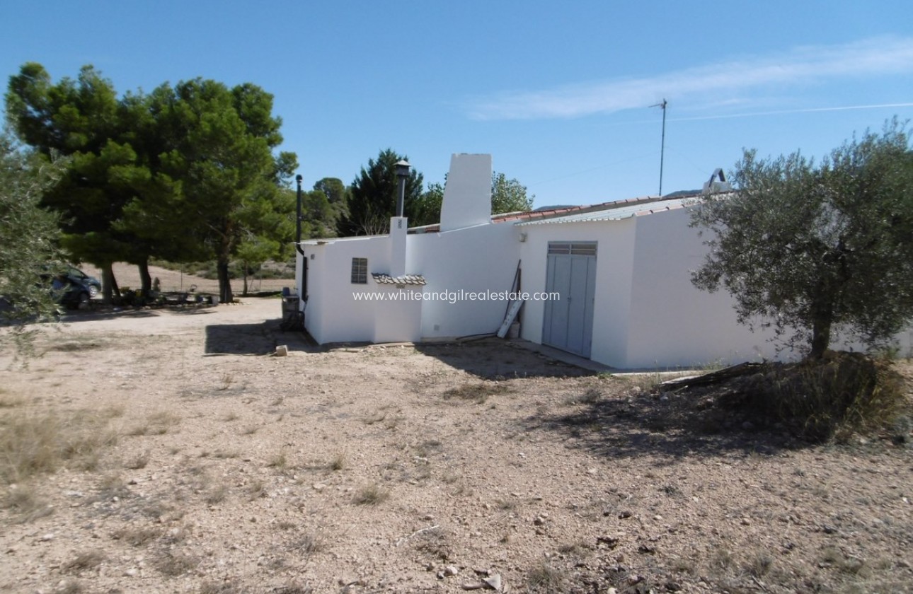 Sale - Villa  - Yecla