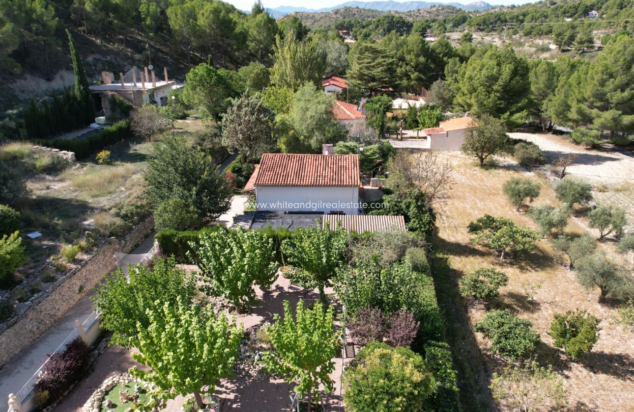 Sale - Finca - Petrer