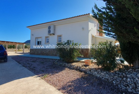 Sale - Villa  - Salinas