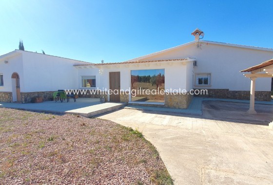 Sale - Villa  - Salinas