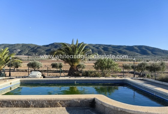 Venta - Chalet / Villa - Yecla