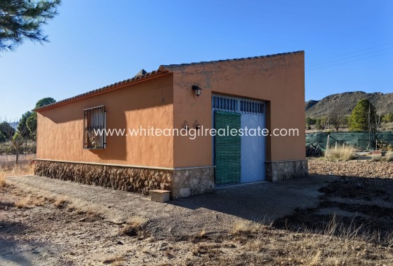 Venta - Chalet / Villa - Yecla