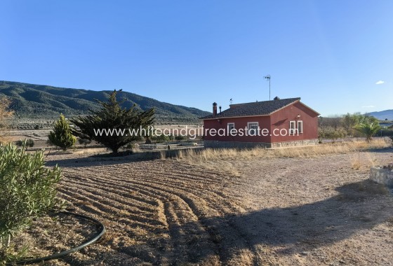 Venta - Chalet / Villa - Yecla