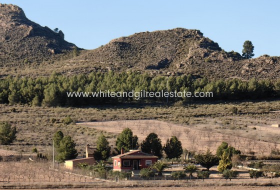 Venta - Chalet / Villa - Yecla