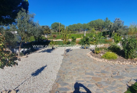 Venta - Casa de campo - Sax