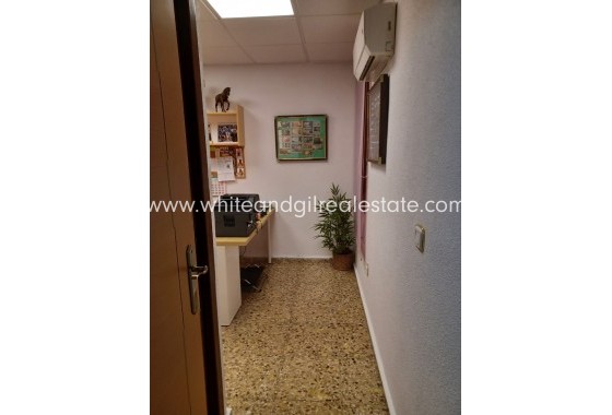 Sale - Villa  - San Vicente del Raspeig - Sol y Luz