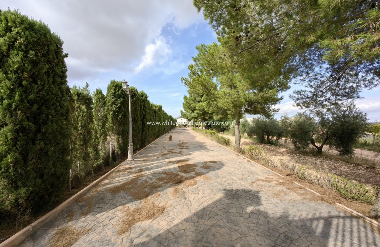 Sale - Country house  - Pinoso