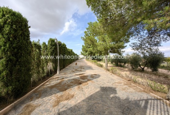 Sale - Country house  - Pinoso