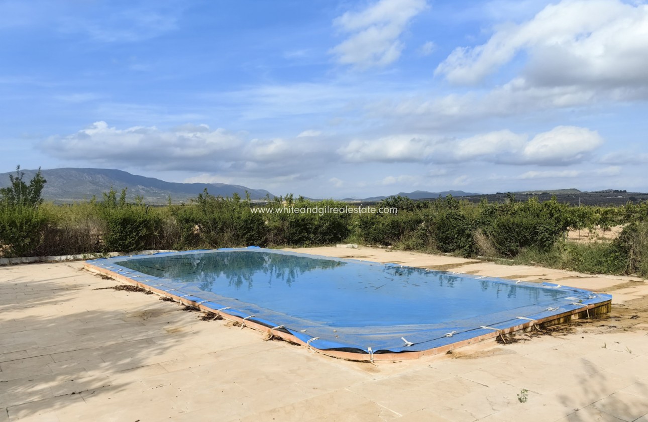 Sale - Country house  - Pinoso