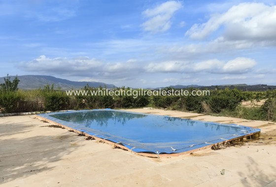 Sale - Country house  - Pinoso