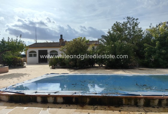 Sale - Country house  - Pinoso