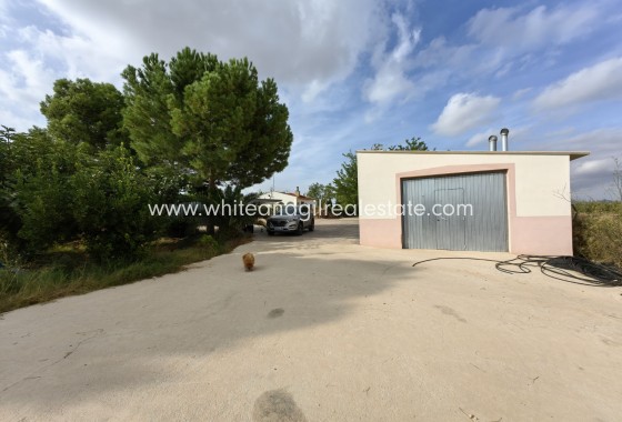 Sale - Country house  - Pinoso