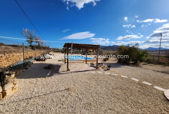 Venta - Chalet / Villa - Fortuna