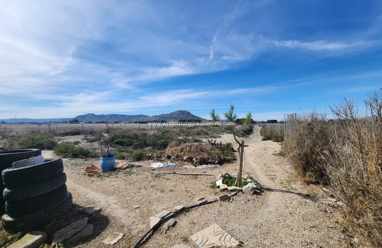 Revente - Villa  - Villena