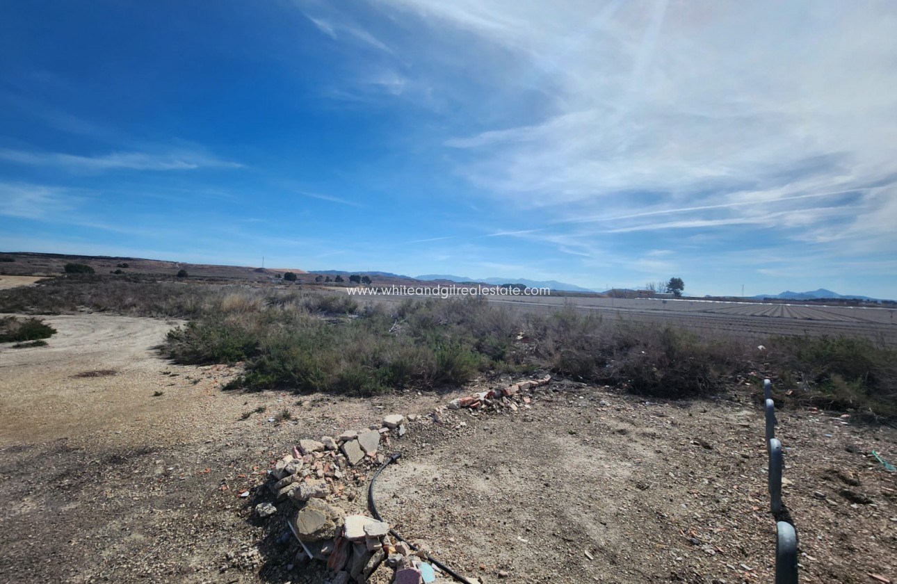 Revente - Villa  - Villena