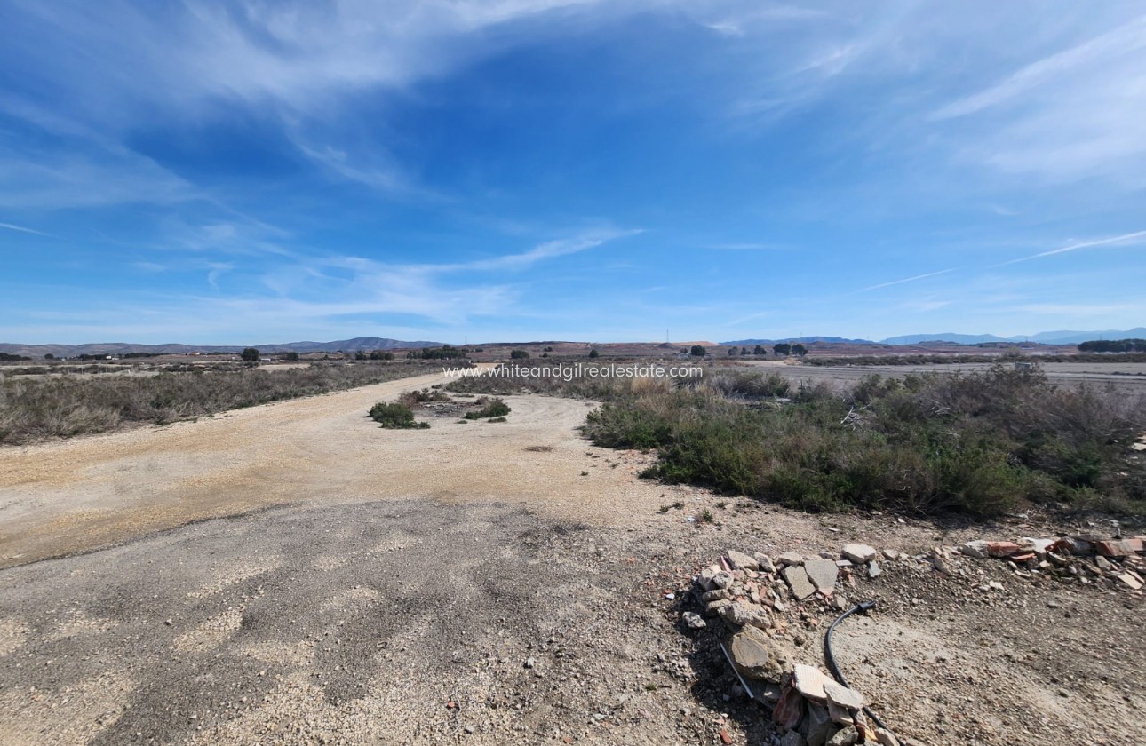 Revente - Villa  - Villena