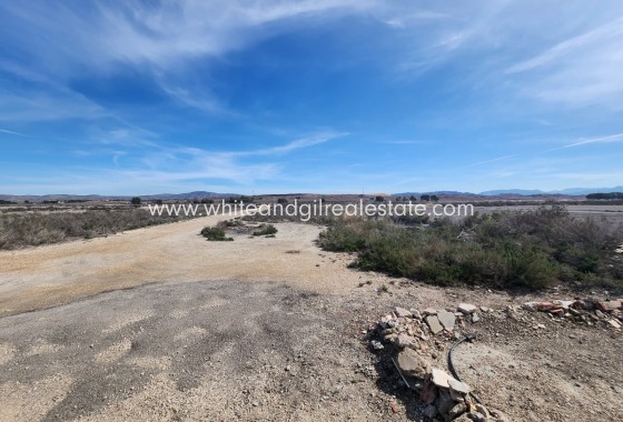 Revente - Villa  - Villena